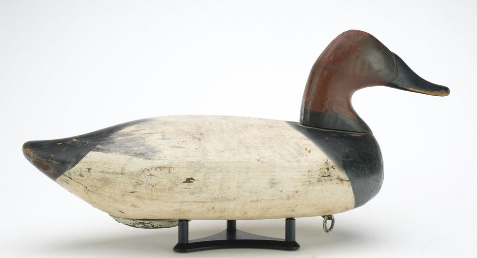 James Currier – Canvasback – 2024