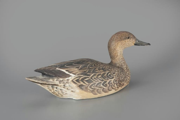 John Scheeler – Pintail Hen – 2024