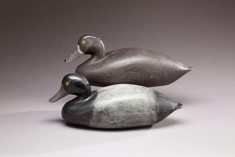 George F. Burkley – Broadbill Pair – 2013