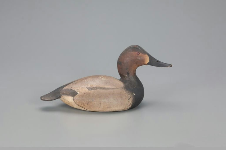 Ward Brothers – The du Pont 1936 Canvasback Hen – 2021