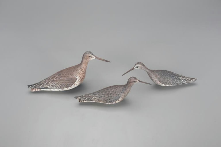 David Rhodes – Three Shorebirds – 2021