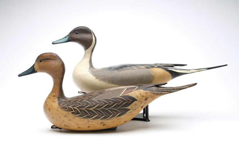 Bob White – Pair of Pintail – 2026