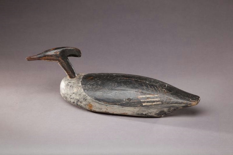 Roger Williams – Roothead Merganser Hen – 2012