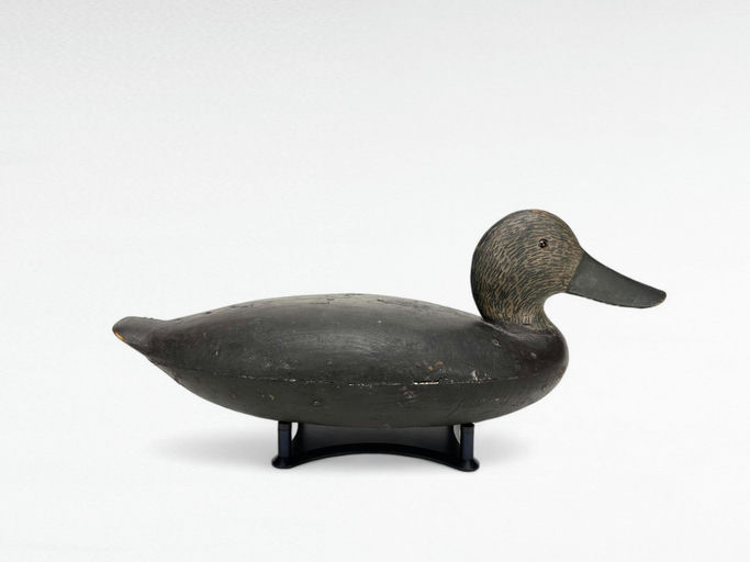 Howard Hoatley — Black Duck