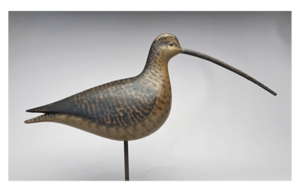 Mark McNair – Long Billed Curlew – 2018