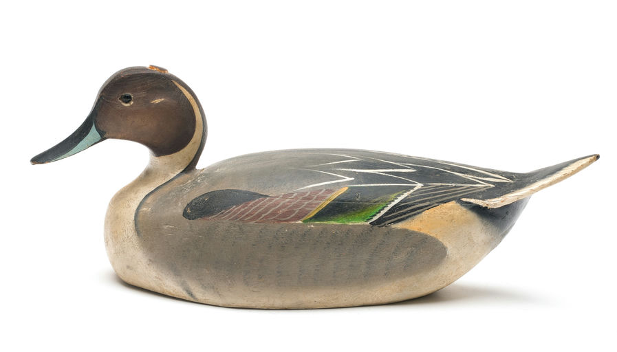 Ward Brothers – Pintail – 2026