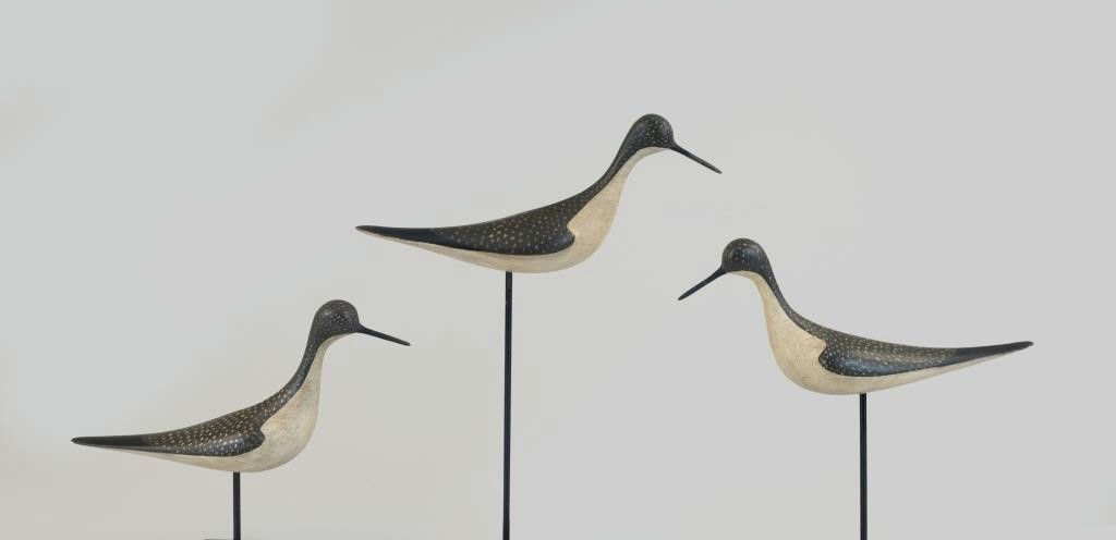 Ian McNair – Rig of Three Yellowlegs – 2026