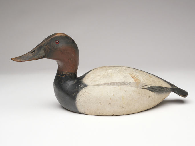 Ward Brothers – Canvasback – 2023