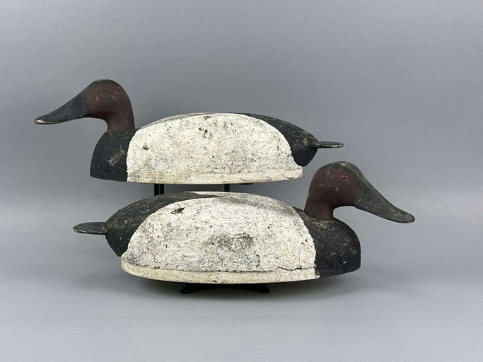 Joe Gigl – Canvasback Drake Duck – 2026