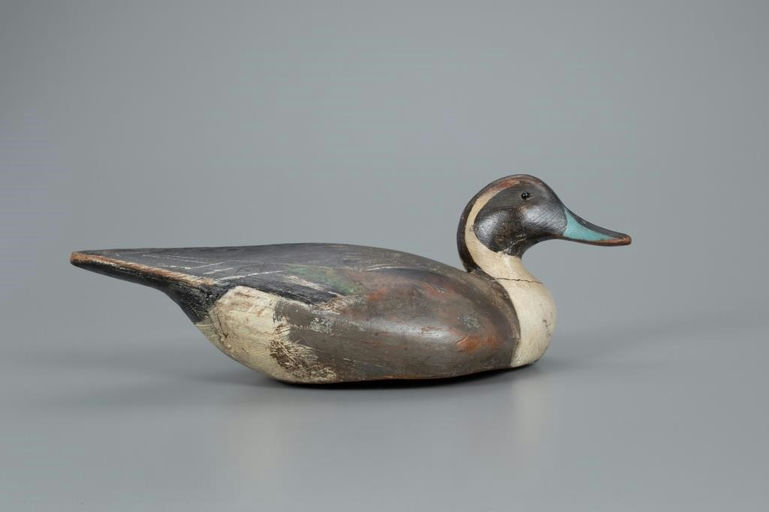 Ward Brothers – Low-Head Pinch-Breast Pintail Drake – 2020