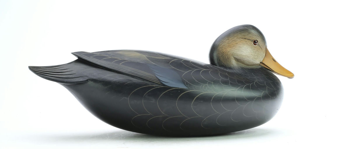 George Strunk – Black Duck – 2025