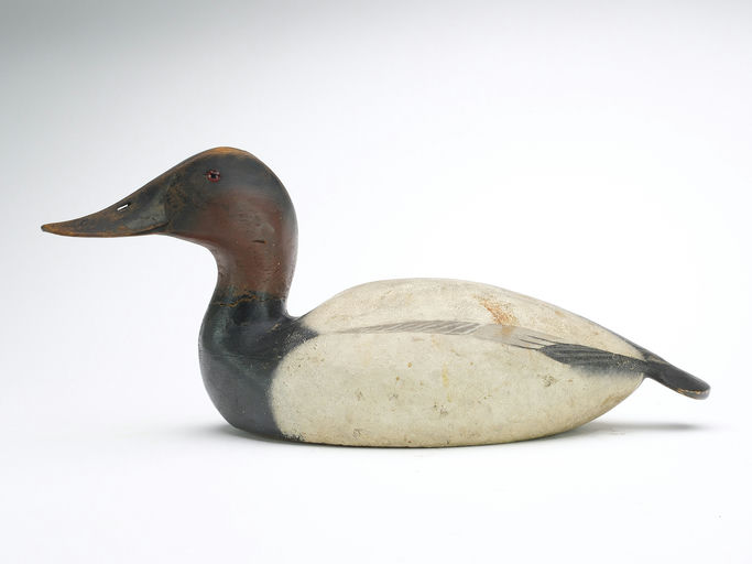 Ward Brothers – Canvasback – 2024