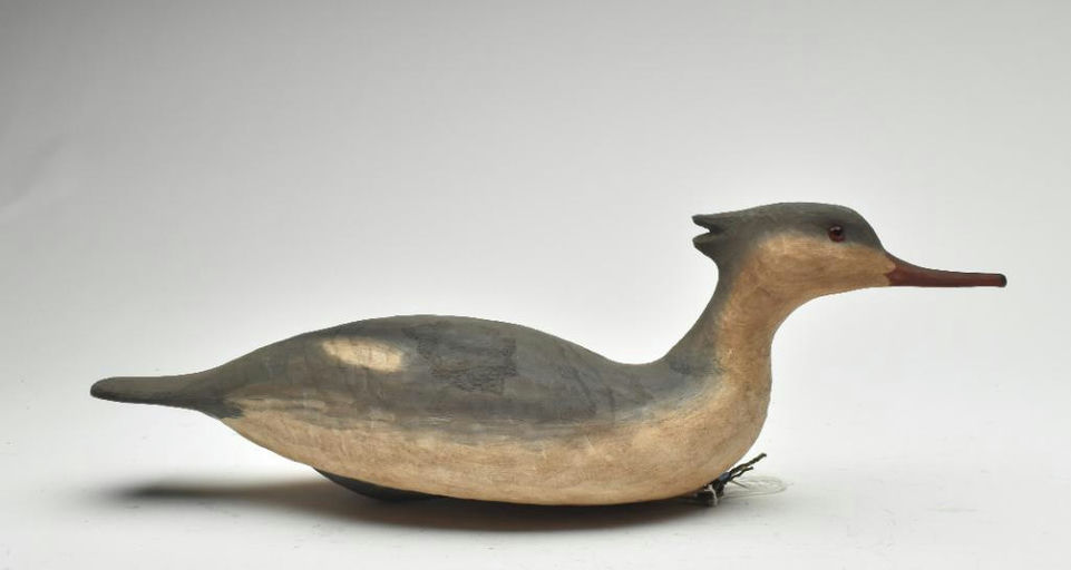 Cigar Daisey – Merganser – 2023