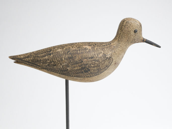 George Boyd – Black Bellied Plover – 2023