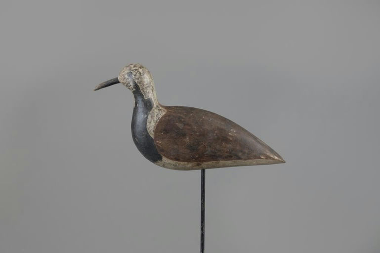 Otis Seaman – Ruddy Turnstone – 2025