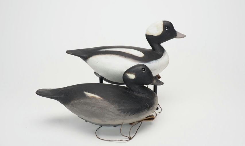 Pete Peterson – Bufflehead Pair – 2025