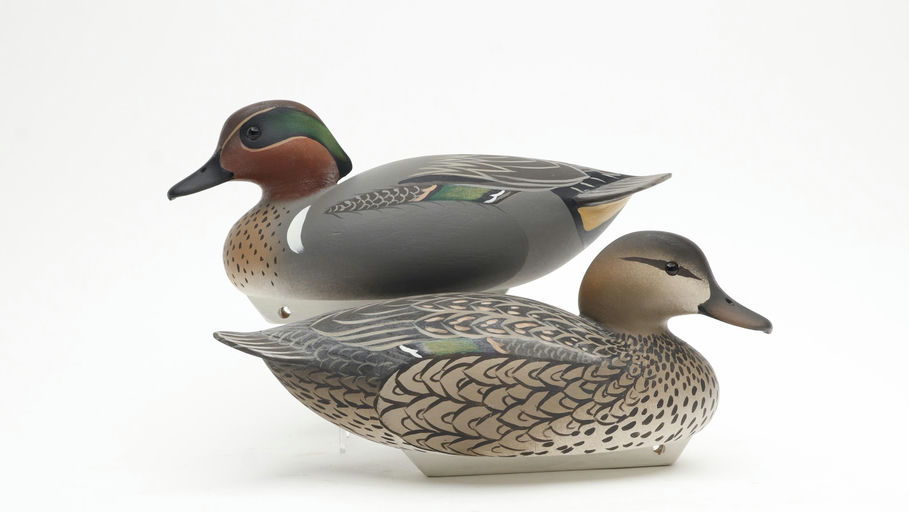 Oliver Lawson – Pair of Green-winged Teal – 2026