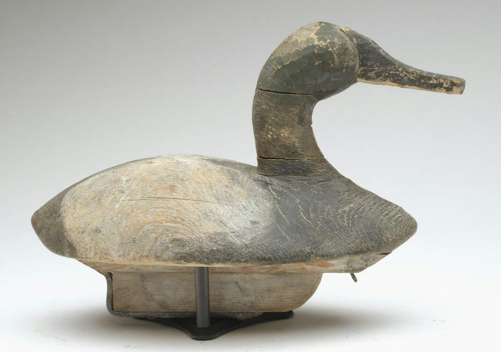 Duncan Ducharme – Canvasback – 2023