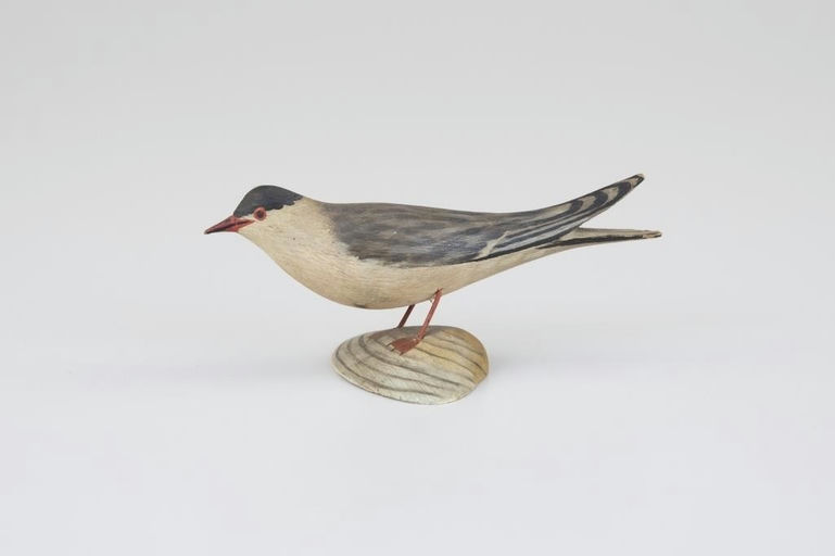 Elmer Crowell – Miniature Tern on Clamshell – 2026