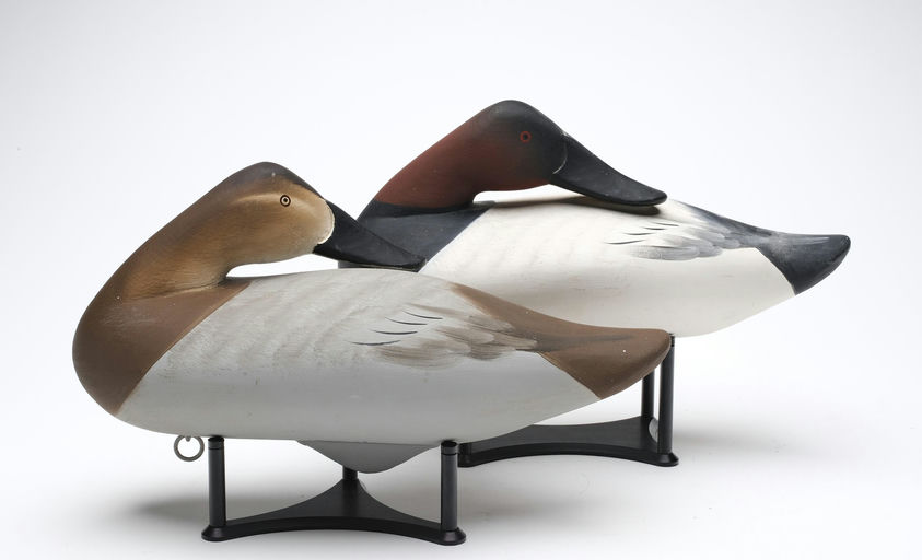 Charlie Joiner – Pair of Canvasback – 2026