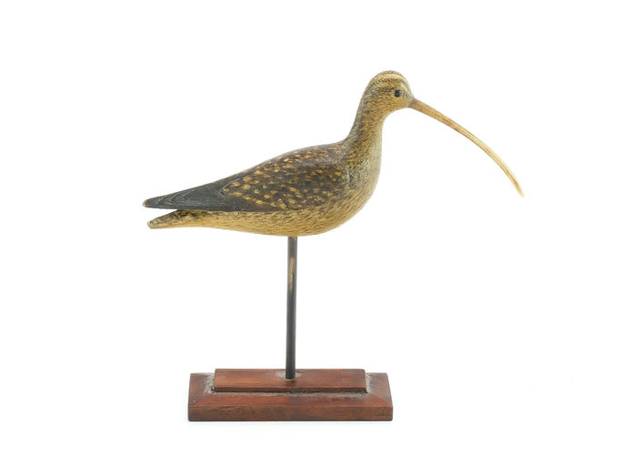 Mark McNair – Miniature Curlew – 2024