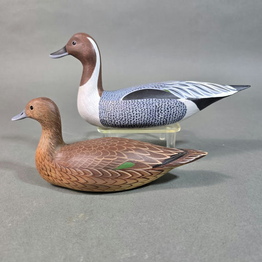 David Rhodes – Pintail – 2026