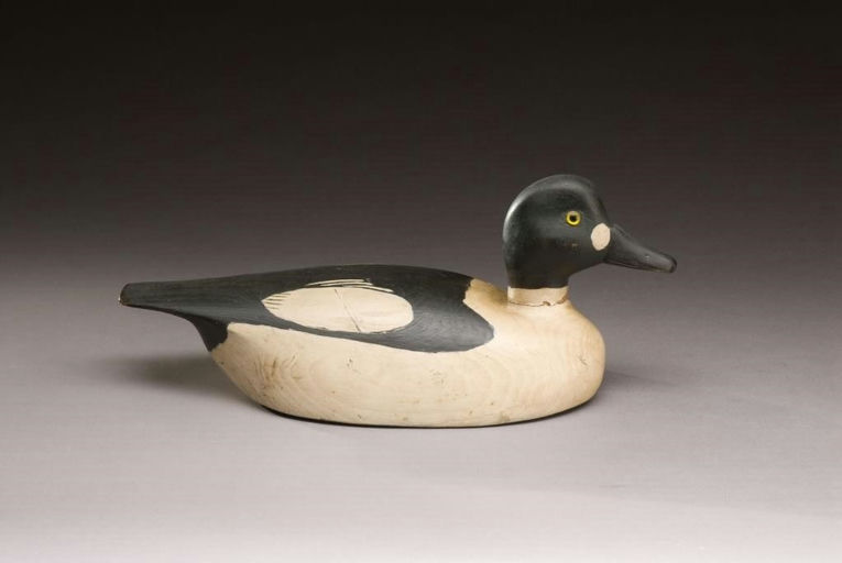 Billy Ellis – Goldeneye Drake – 2009