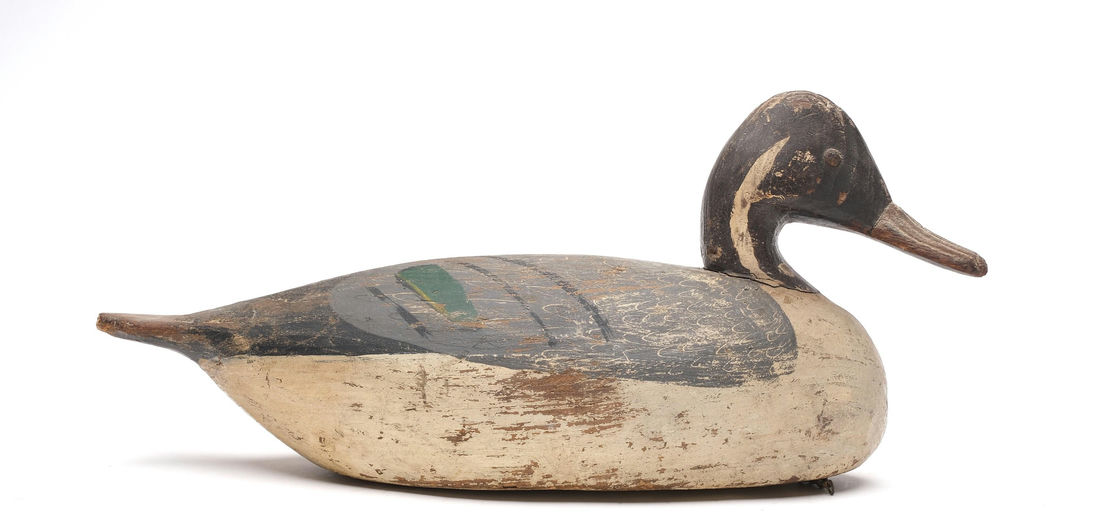 Miles Hancock – Pintail – 2026