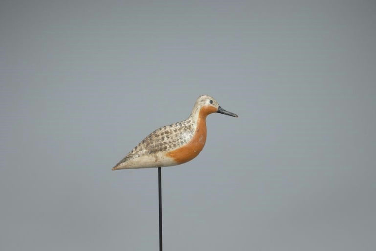 Harry V. Shourds – Robin Snipe – 2020