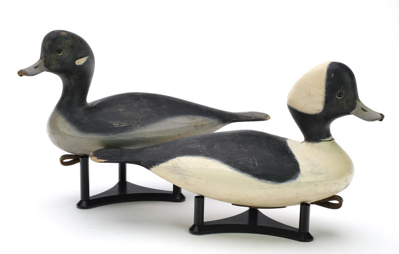 Pete Peterson – Pair of Bufflehead – 2024