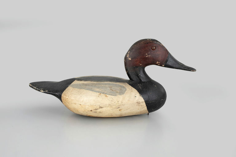 Otton Garren – Canvasback – 2026