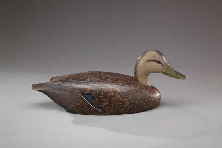 David W. Nichol – Black Duck – 2012