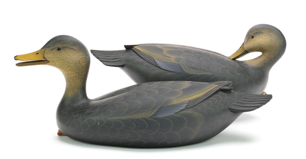 George Strunk – Pair of Black Ducks – 2024
