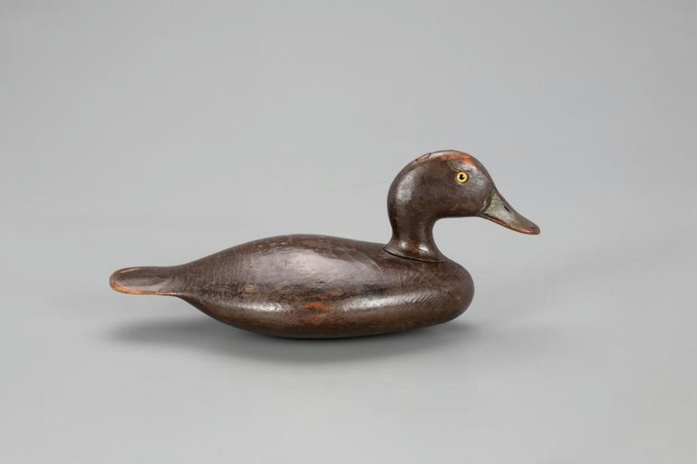 Harvey Stevens – Bluebill Hen – 2021