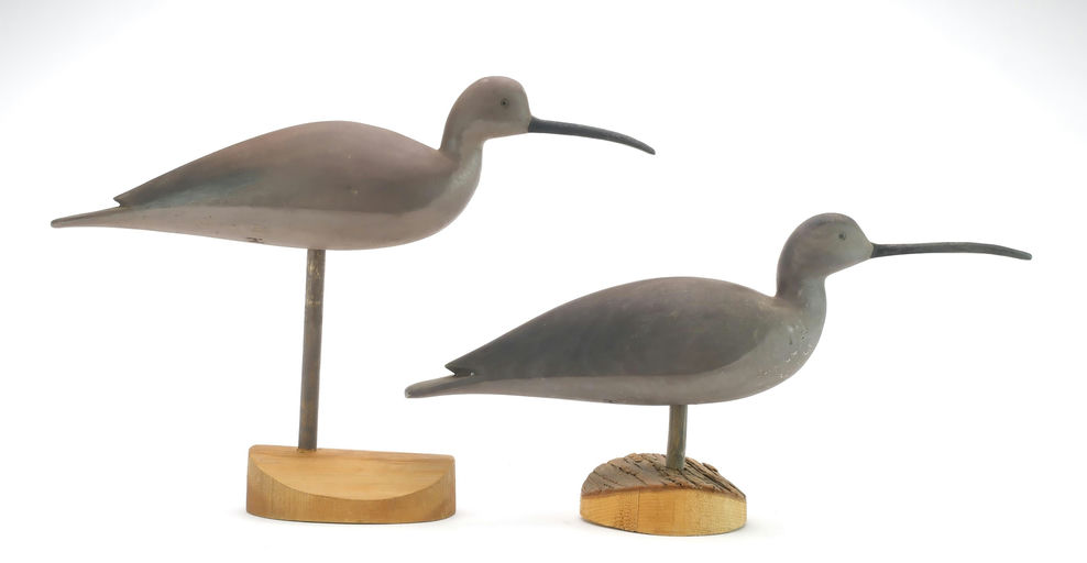 Hurley Conklin – Curlew – 2024