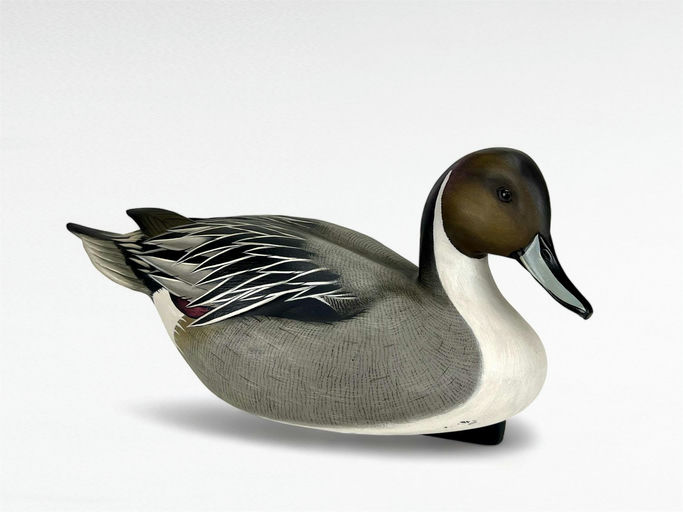 Jim Schmiedlin – Pintail Drake – 2024