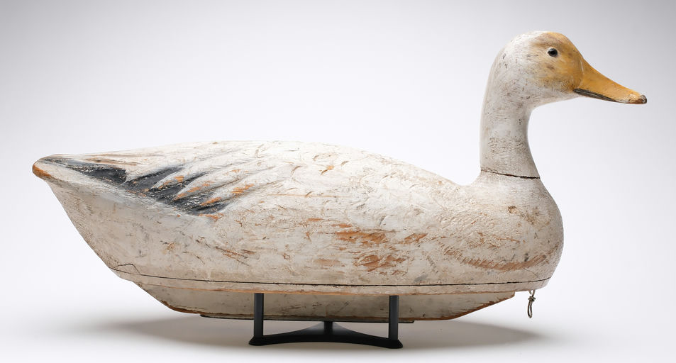 Ben Schmidt – Snow Goose – 2026