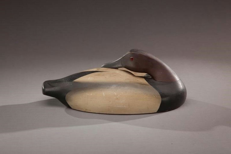 Edward Ted Mulliken – Preening Canvasback Drake – 2012