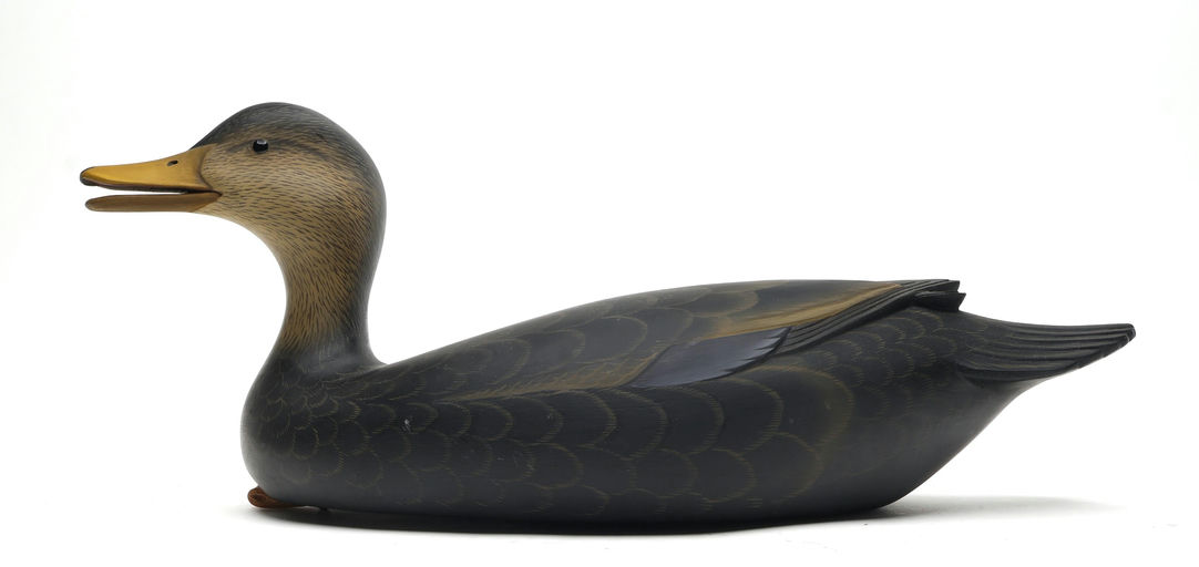 George Strunk – Black Duck – 2026