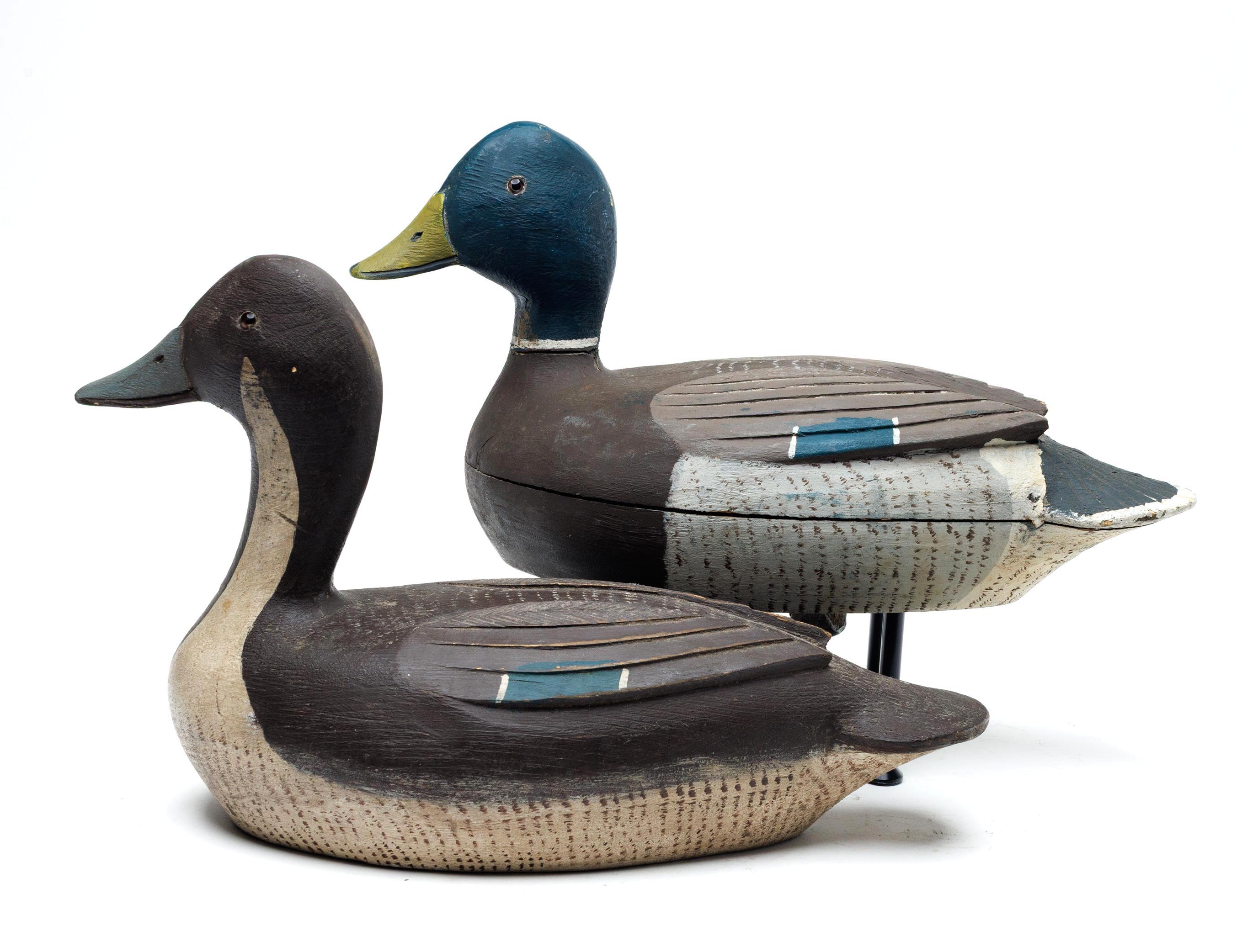 Philippe Guyon – Pintail and Mallard – 2026