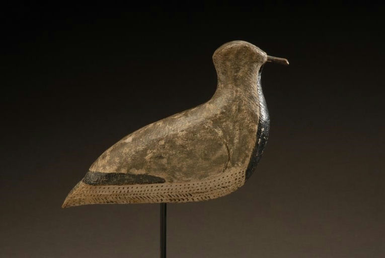 Samuel Shute – Black-Bellied Plover – 2008