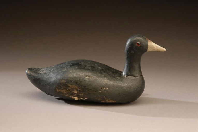 Cassius Peacock – Coot – 2008