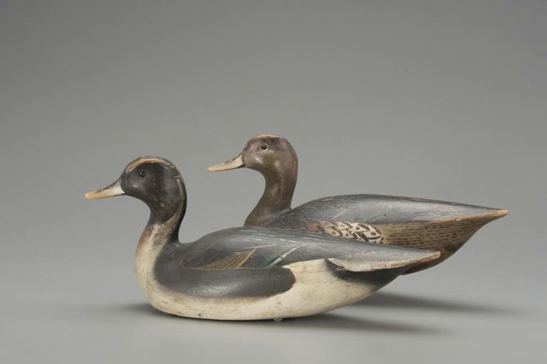 Ward Brothers – Pintail Pair – 2018