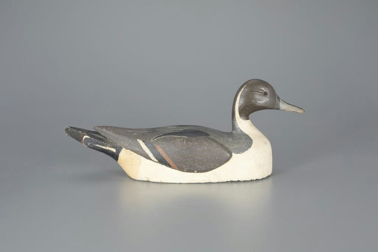 Dean Brown – Pintail – 2024