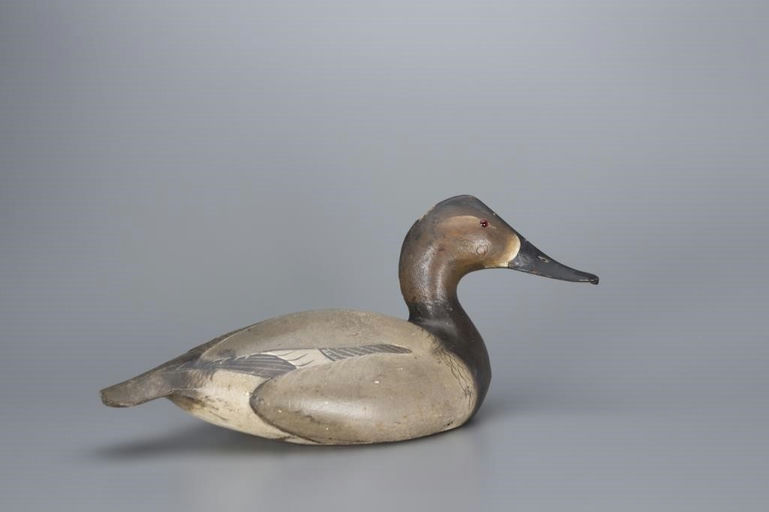Ward Brothers – The McCleery Ward Canvasback Hen – 2017
