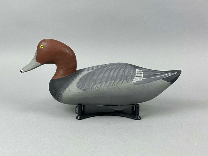 Captain Harry Jobes – Redhead Drake – 2026