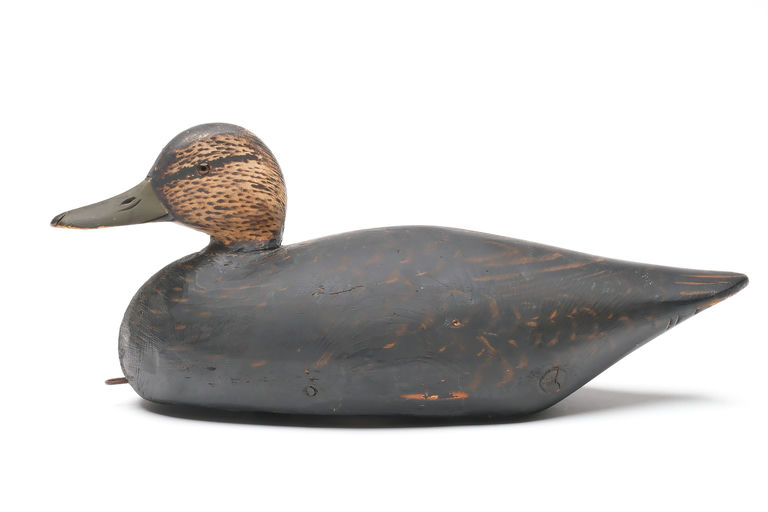 Elmer Crowell – Black Duck – 2026