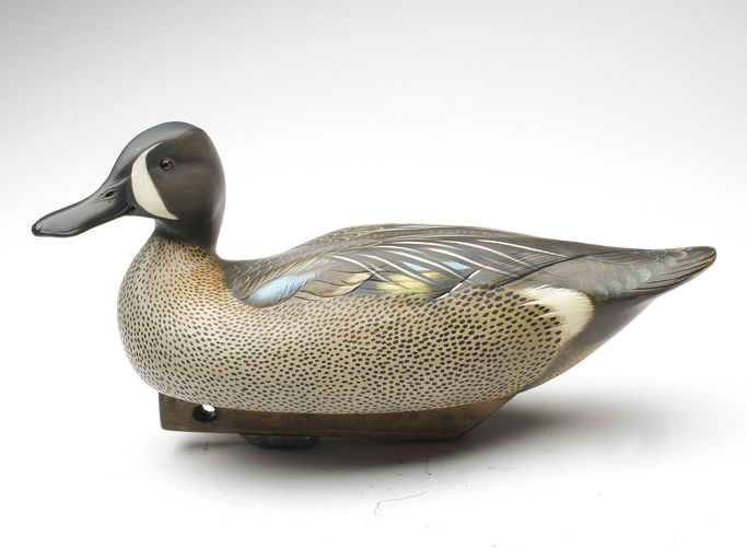 Jim Schmiedlin – Blue-winged Teal – 2023