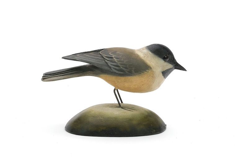 Frank Finney – Black-capped chickadee – 2024