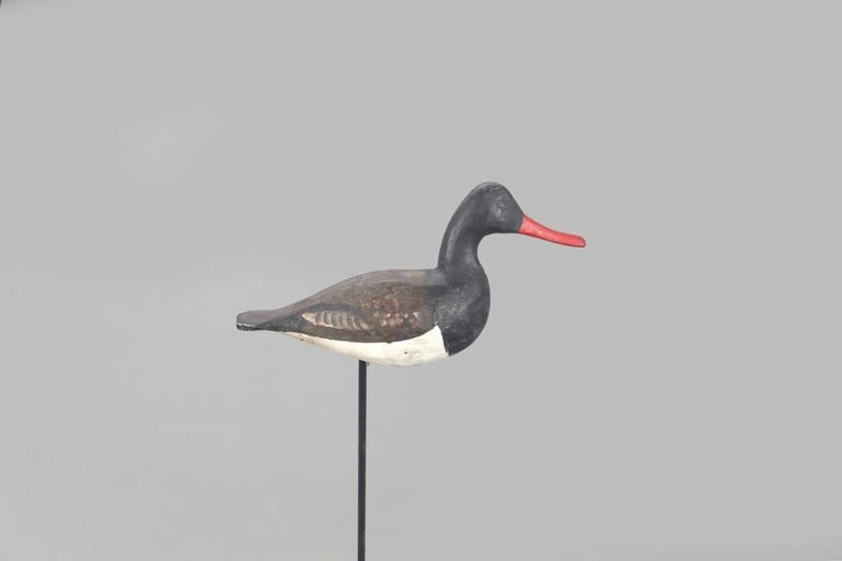 Miles Hancock – Oystercatcher – 2021